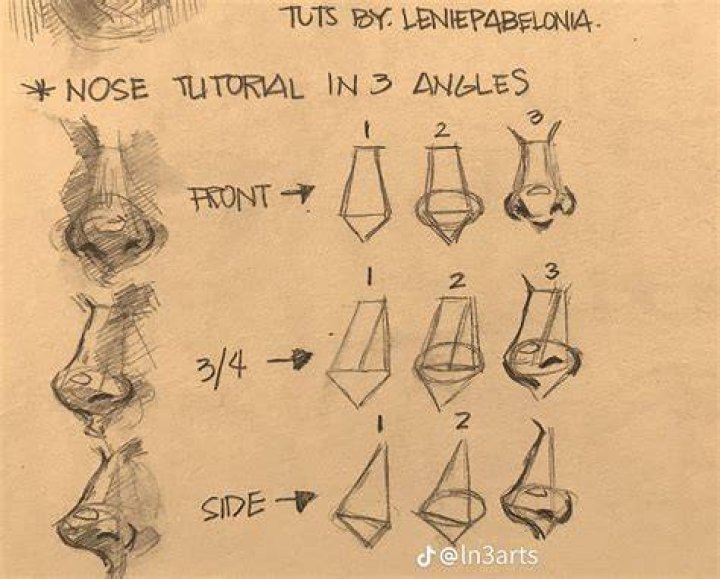 Nose Drawing: Mastering the Art of Capturing Facial Features