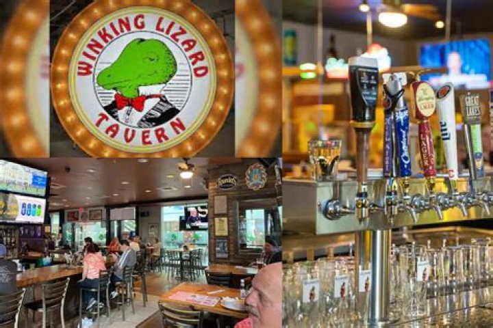 Winking Lizard: A Comprehensive Guide to the Iconic Restaurant Chain